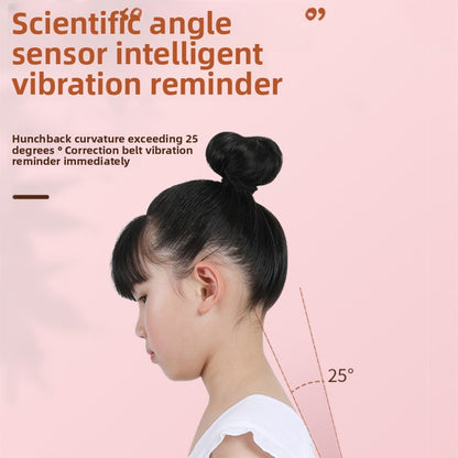 Adjustable Posture Correction Support Belt