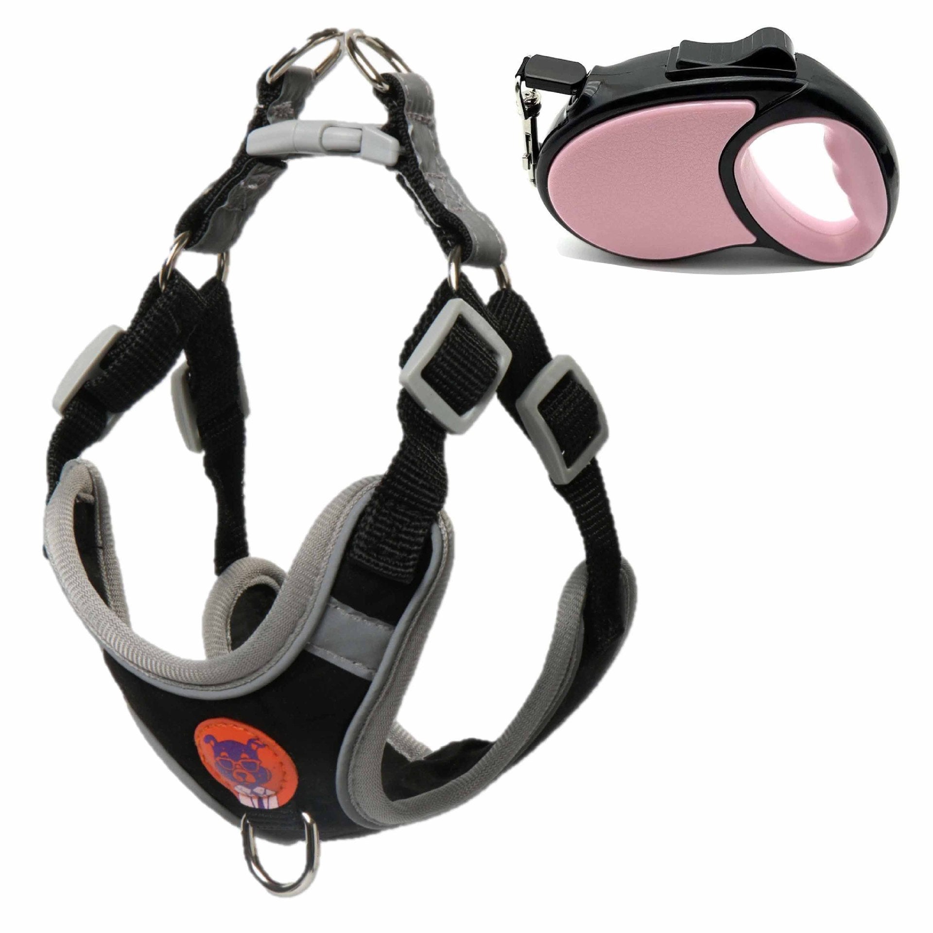 Adjustable Reflective Dog Harness and Leash Set