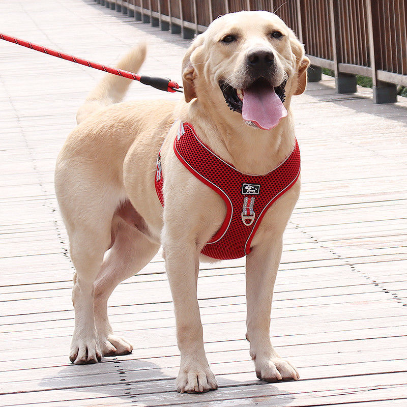 Adjustable Reflective Dog Harness Leash