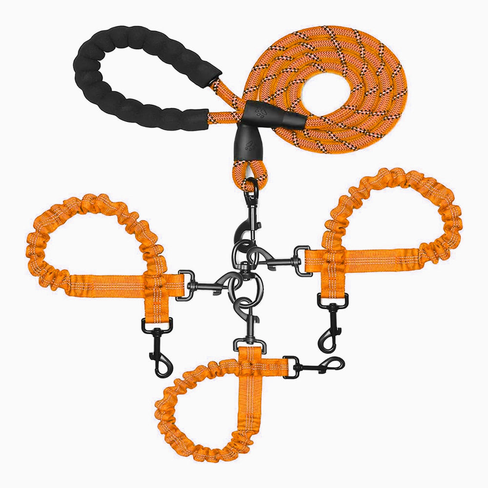 Adjustable Reflective Dog Leash with Triple Attachment Points
