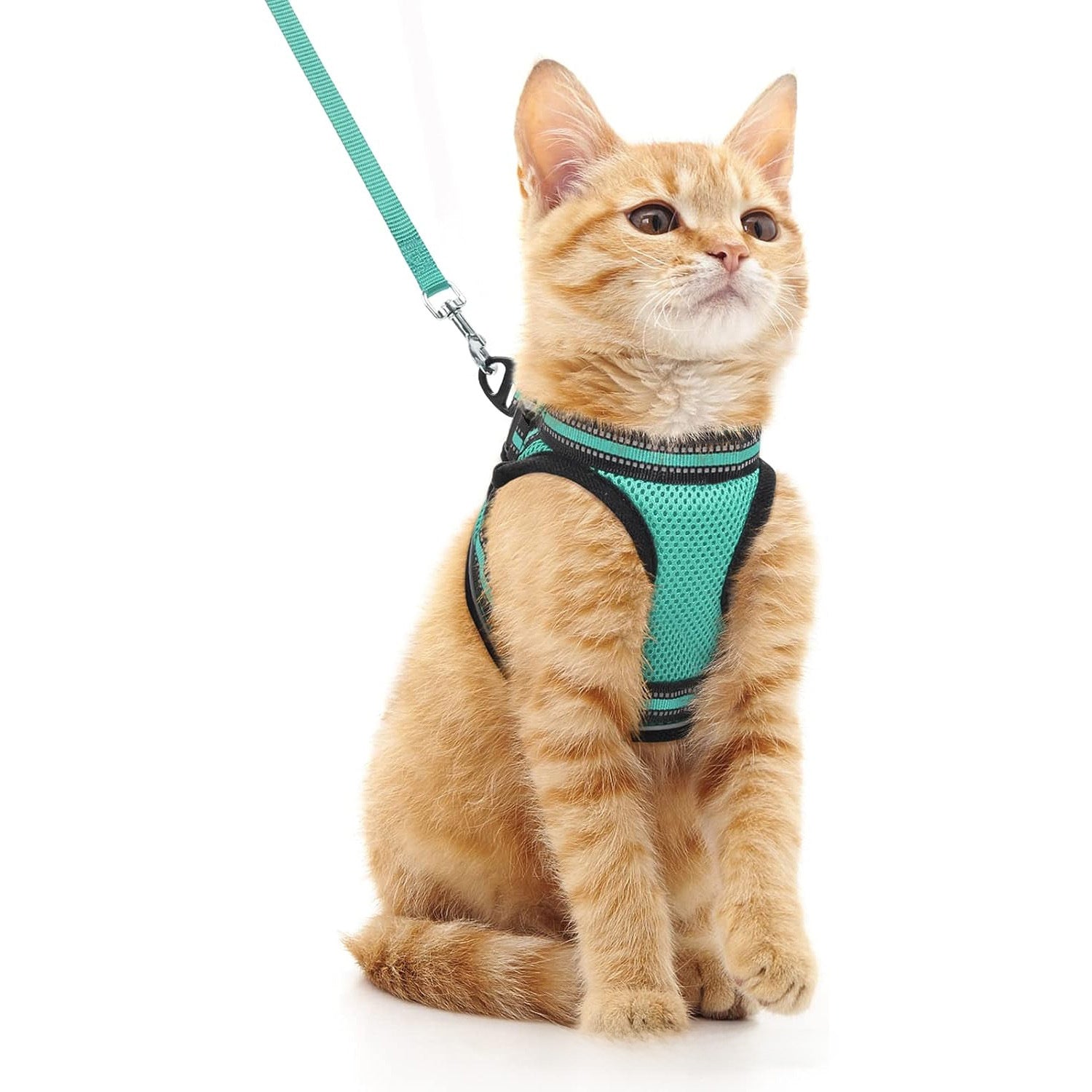 Adjustable Reflective Pet Harness with Leash