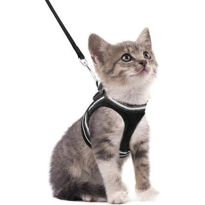 Adjustable Reflective Pet Harness with Leash