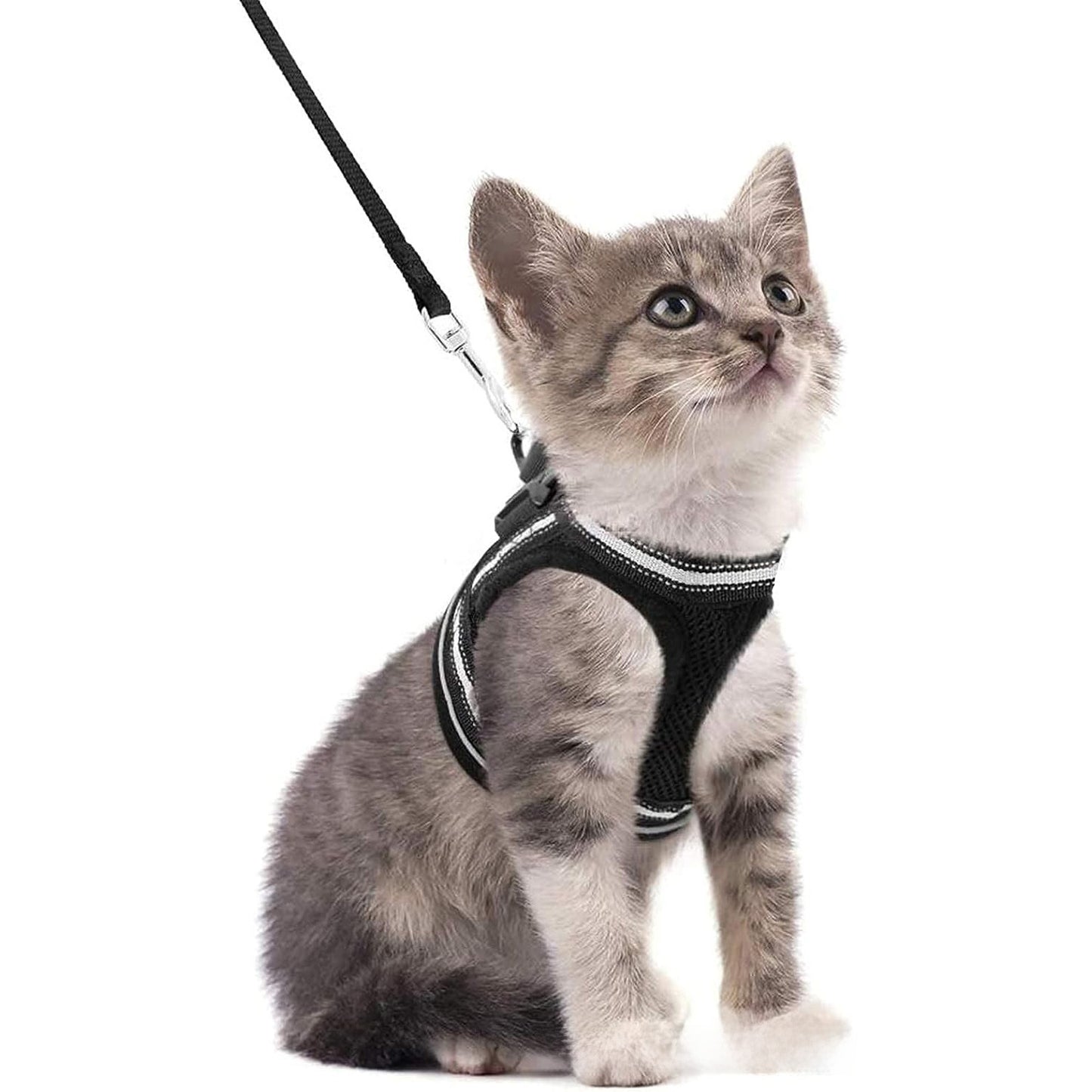 Adjustable Reflective Pet Harness with Leash