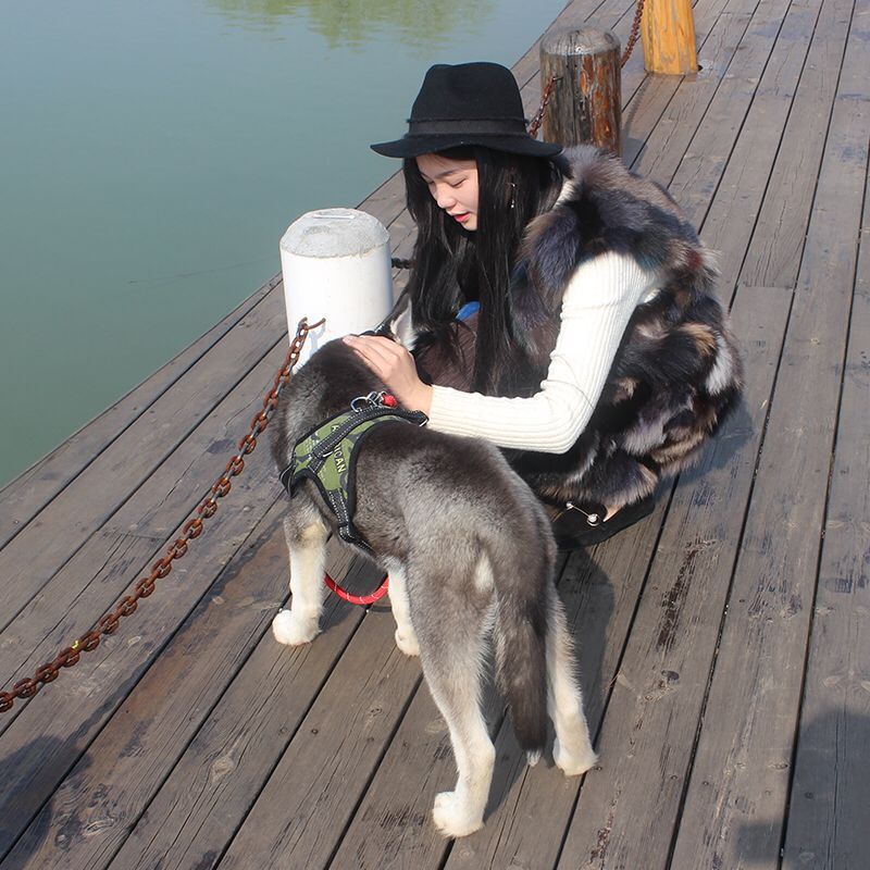 Adjustable Reflective Pet Leash