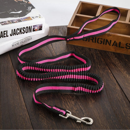 Adjustable Reflective Pet Leash