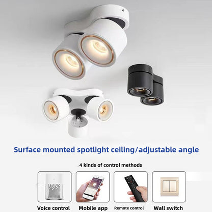Adjustable Spotlight