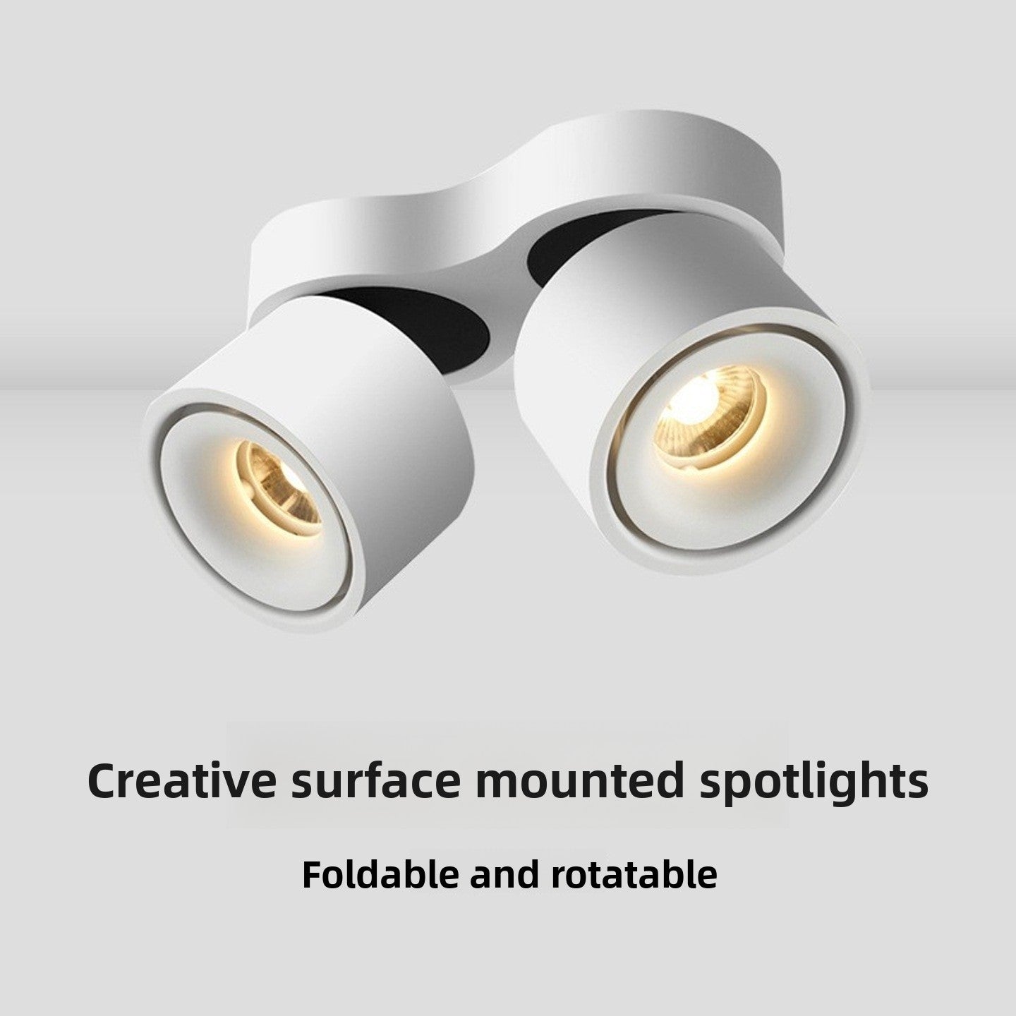 Adjustable Spotlight