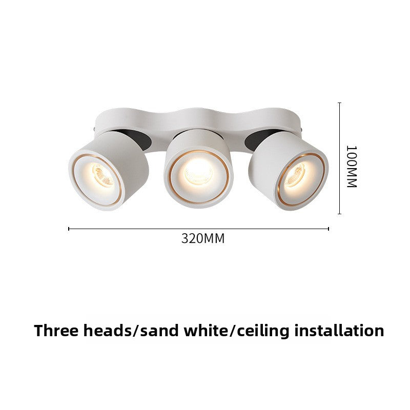 Adjustable Spotlight