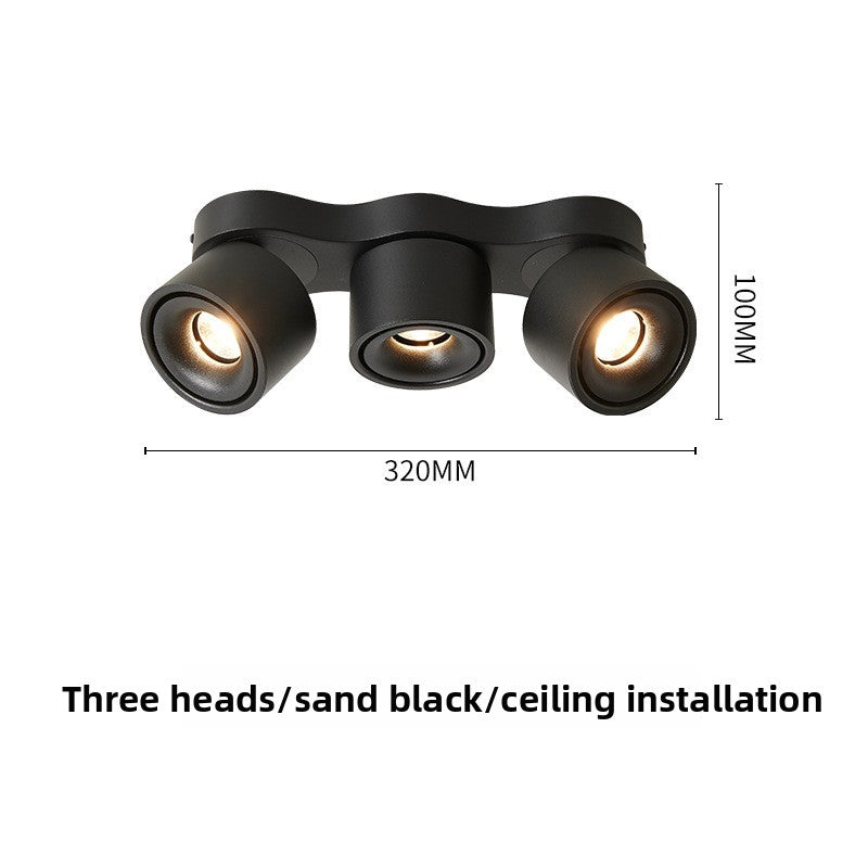 Adjustable Spotlight