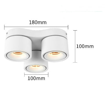 Adjustable Spotlight