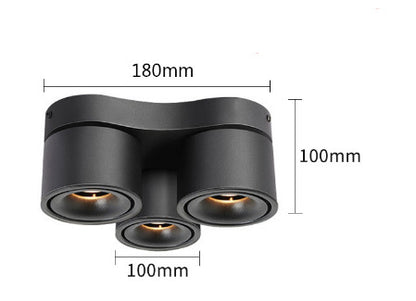 Adjustable Spotlight