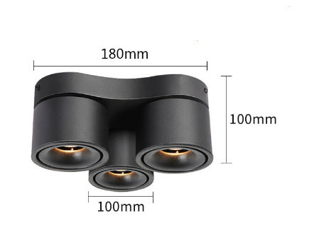 Adjustable Spotlight