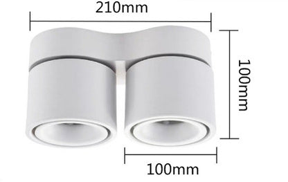 Adjustable Spotlight