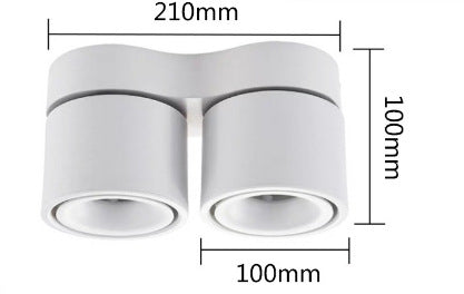 Adjustable Spotlight