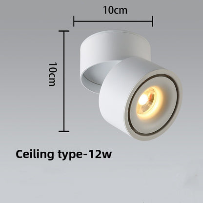 Adjustable Spotlight