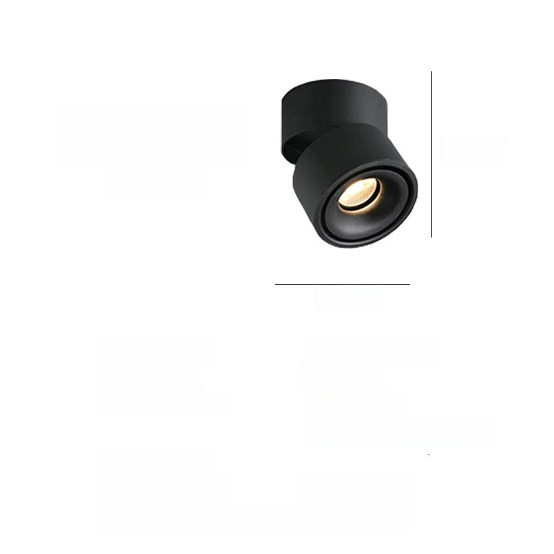Adjustable Spotlight