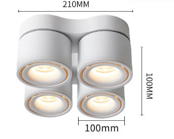 Adjustable Spotlight