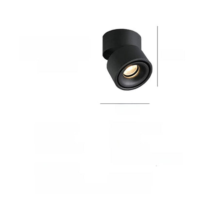 Adjustable Spotlight