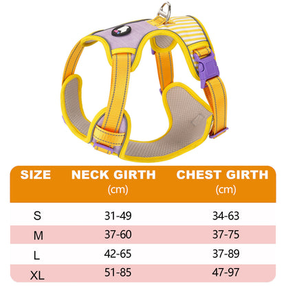 Adjustable Striped Dog Harness with Leash