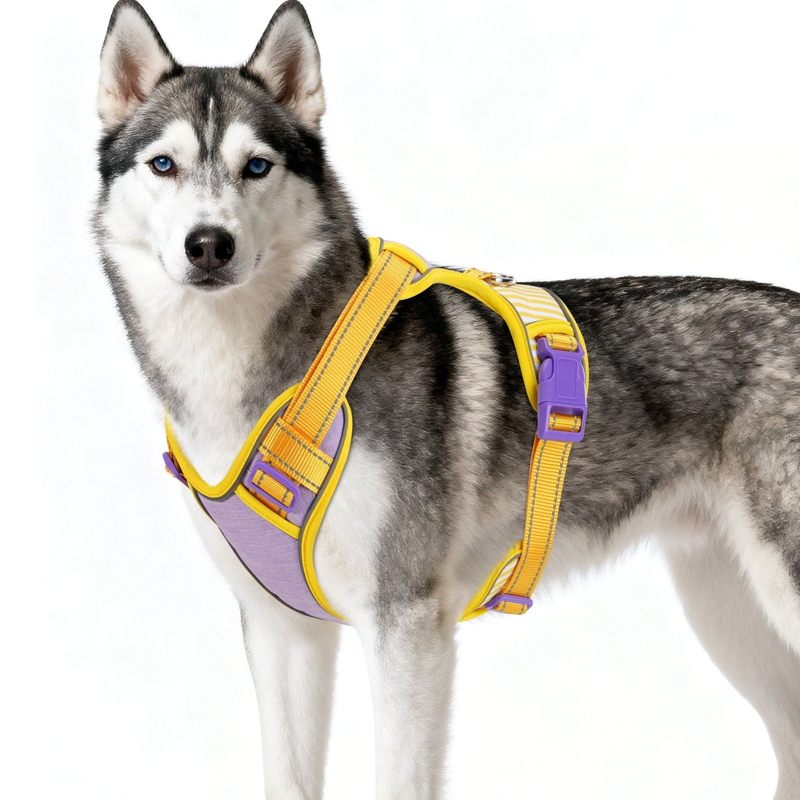Adjustable Striped Dog Harness with Leash