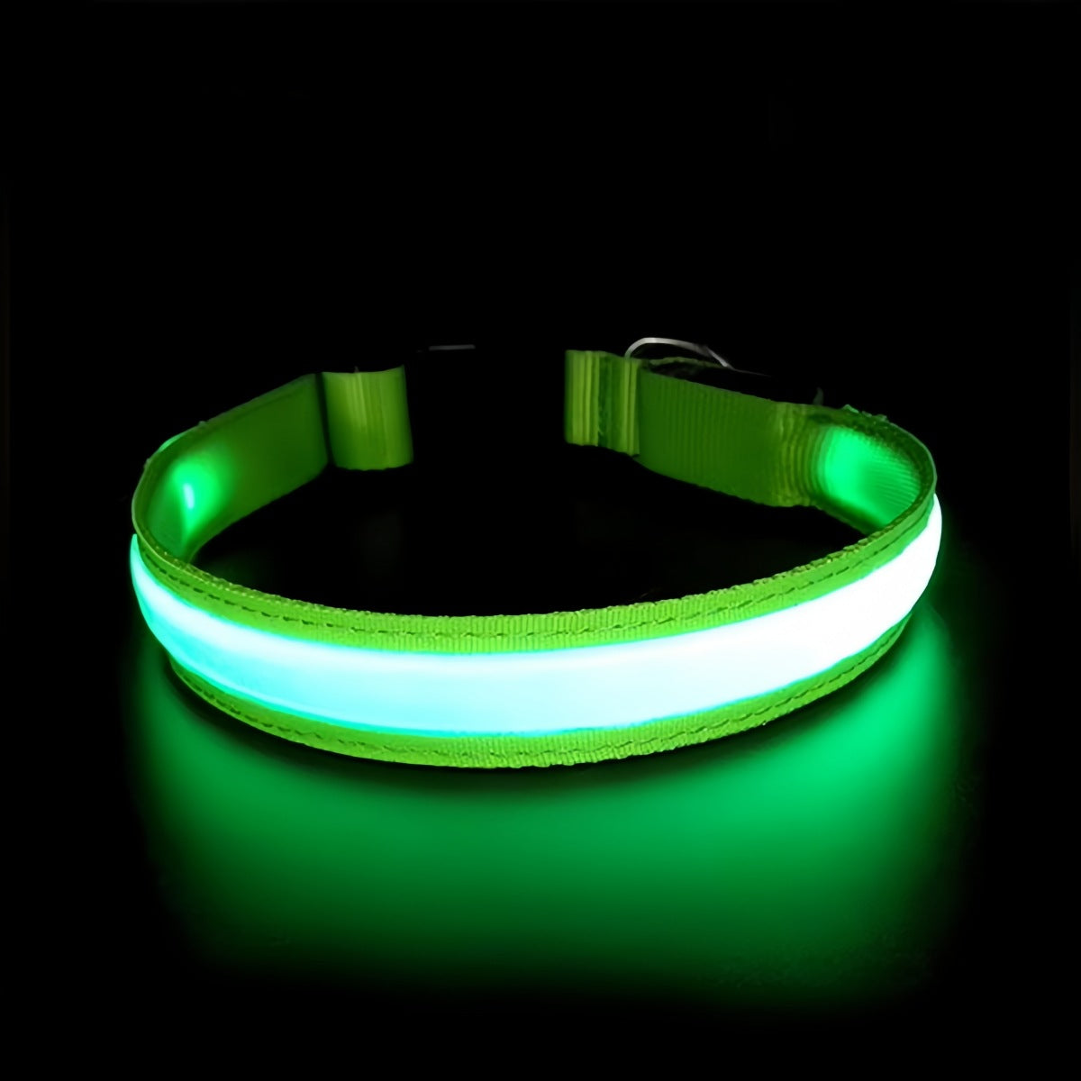 Adjustable USB Rechargeable LED Dog Collar