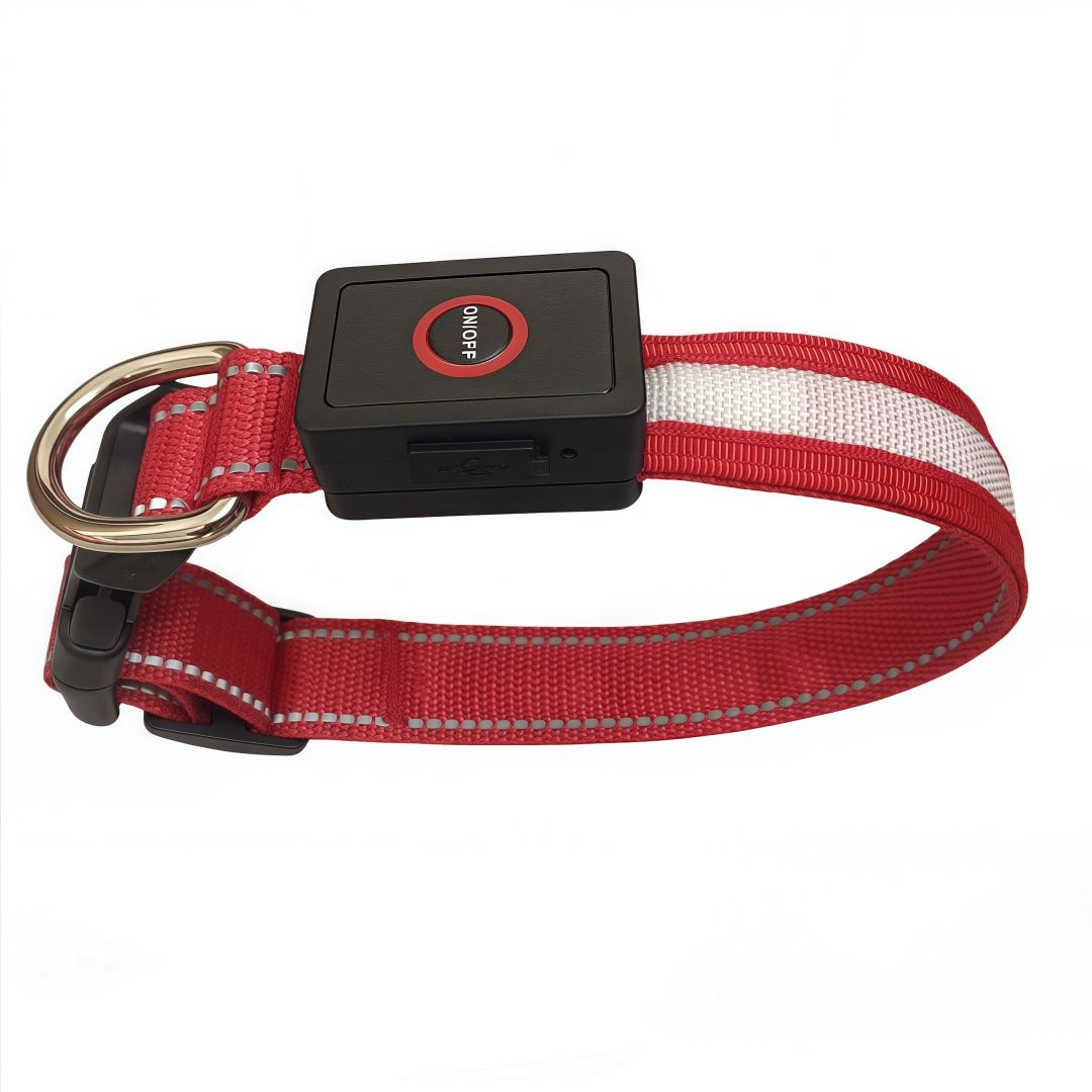 Adjustable USB Rechargeable LED Dog Collar