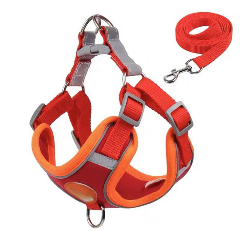 Adjustable Vest Dog Harness for Small Breeds