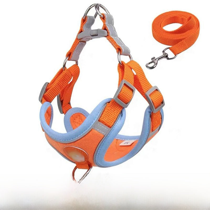 Adjustable Vest Dog Harness for Small Breeds