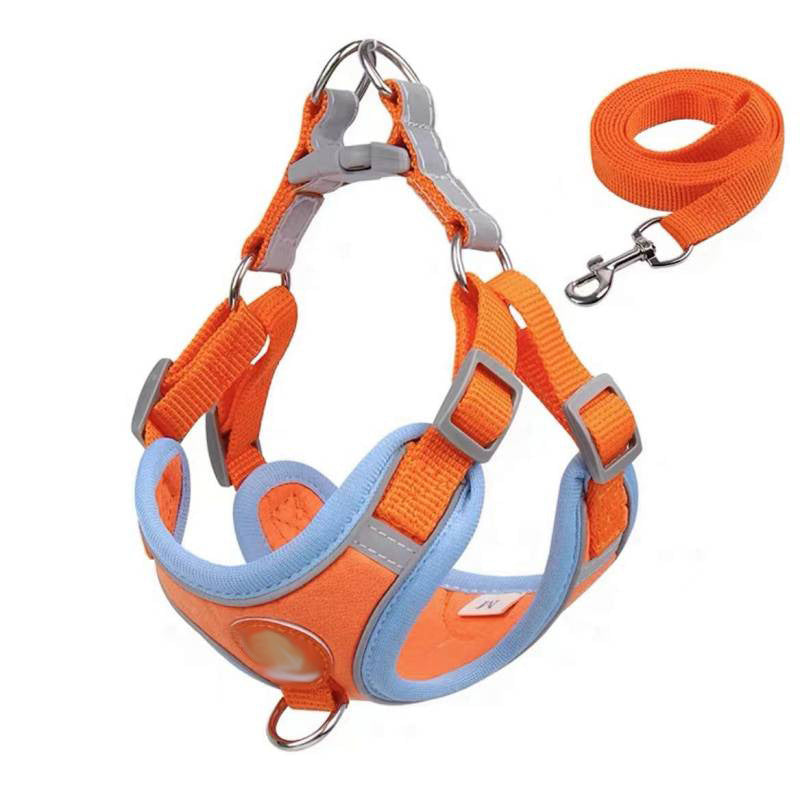 Adjustable Vest Dog Harness for Small Breeds