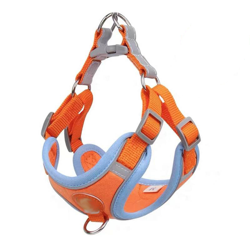 Adjustable Vest Dog Harness for Small Breeds