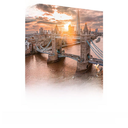 Adult 1000-piece jigsaw puzzle with various designs