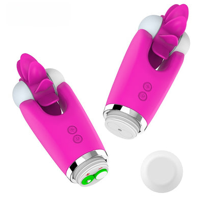 adult toy