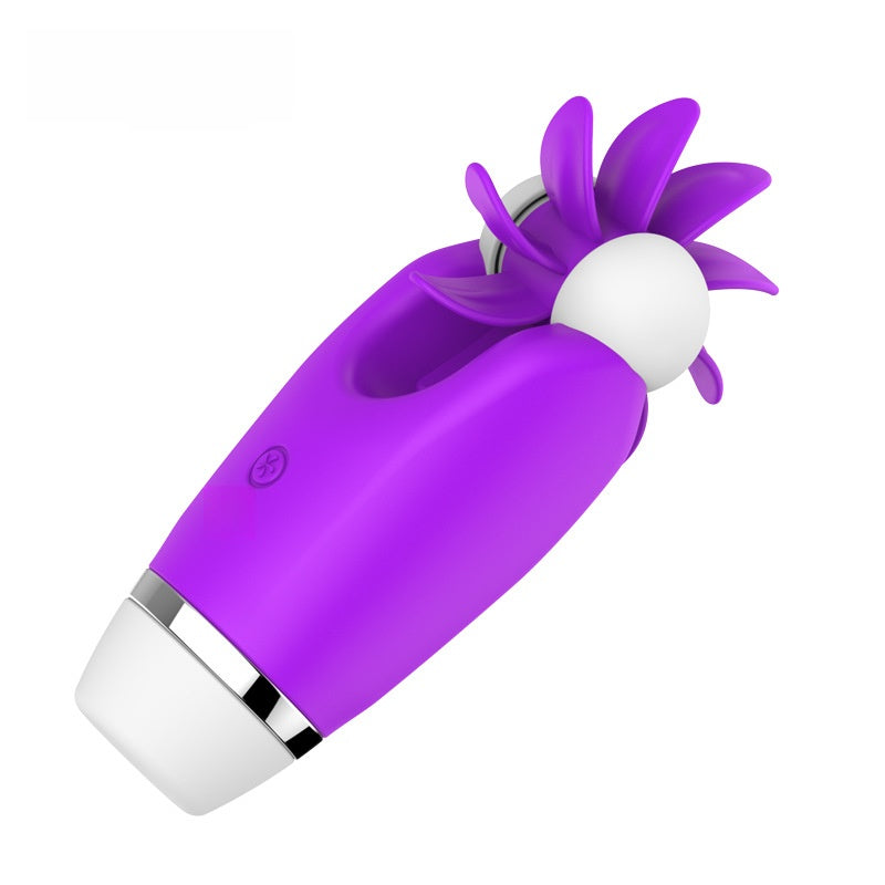 adult toy