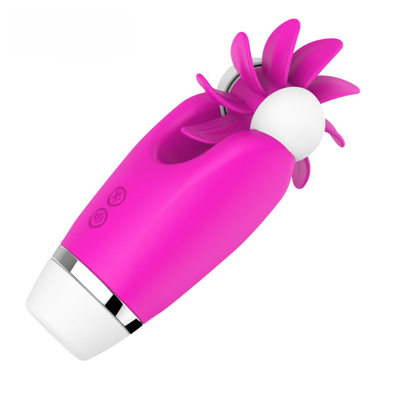 adult toy