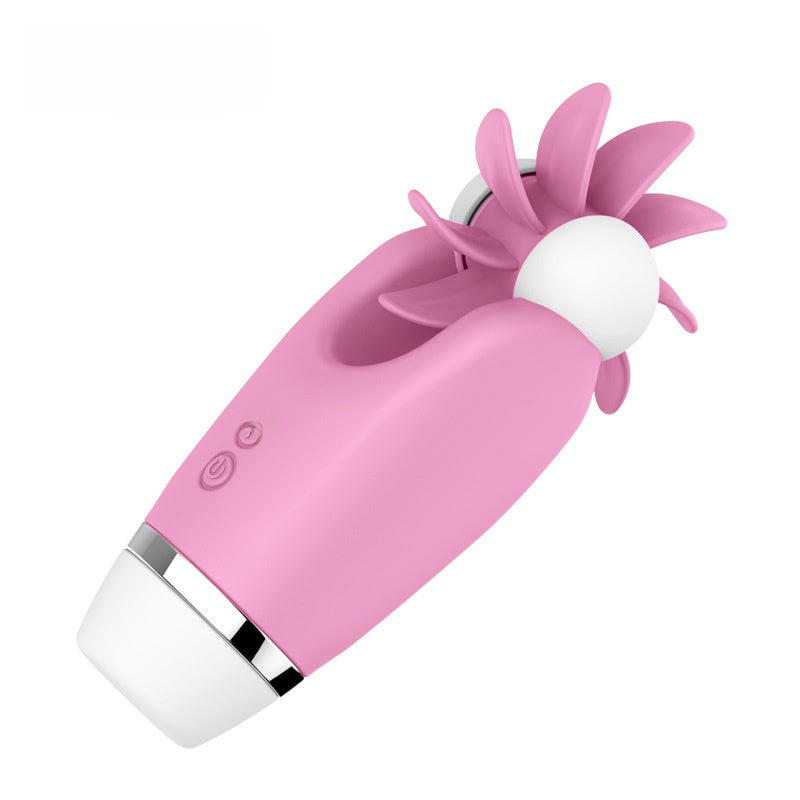 adult toy