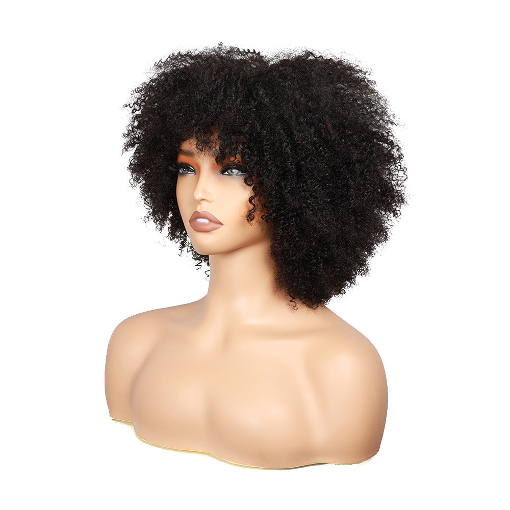 Afro wig