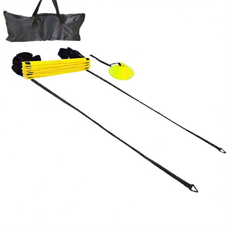 Agile ladder set