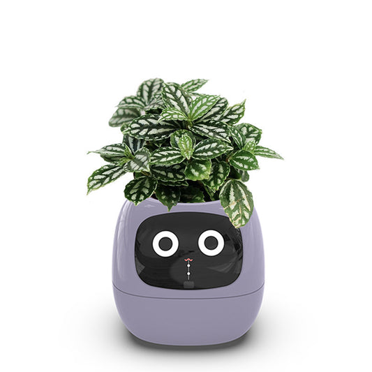 AI flower pot