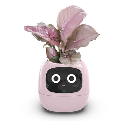 AI flower pot