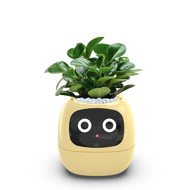 AI flower pot