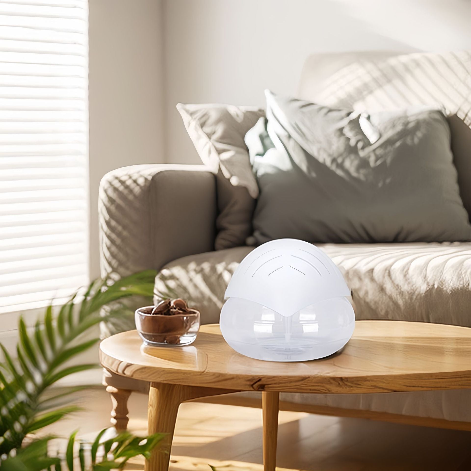Air Humidifier Purifier