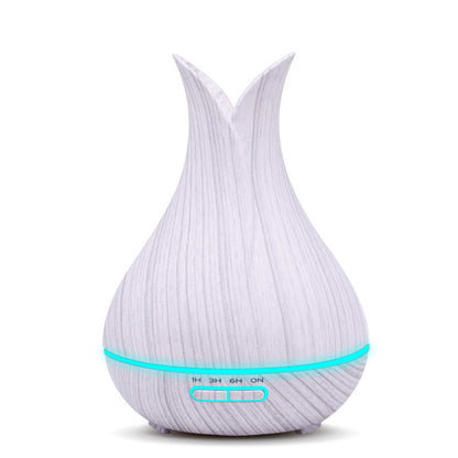 air humidifier
