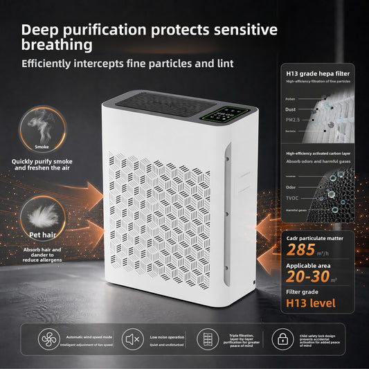Air Purifier for Office and Home Use