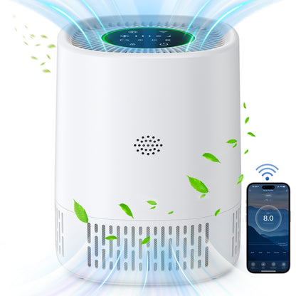 Air Purifier