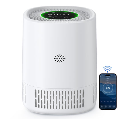 Air Purifier