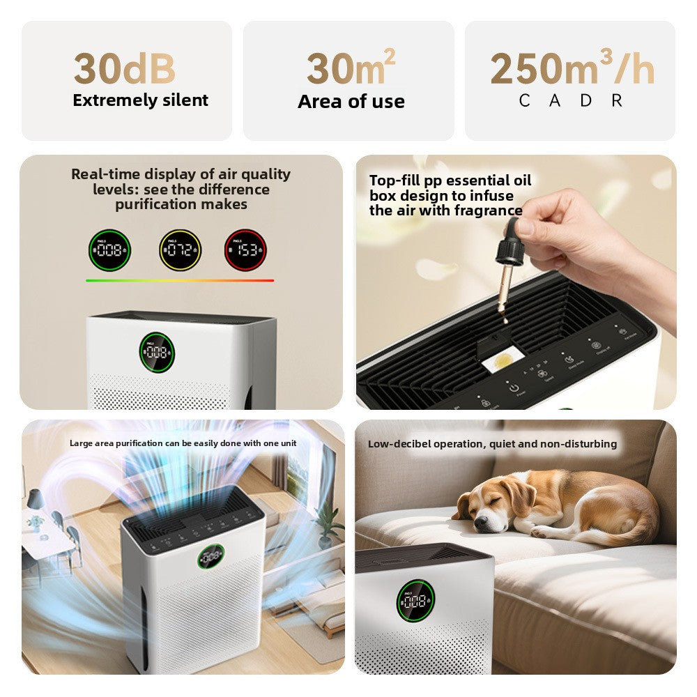 Air Purifier