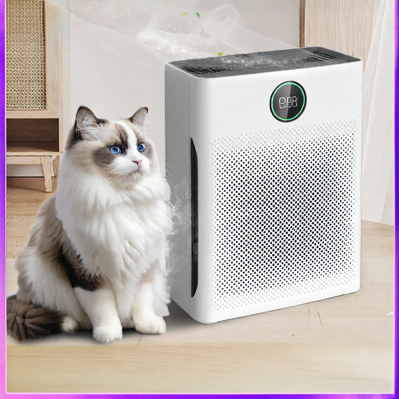 Air Purifier