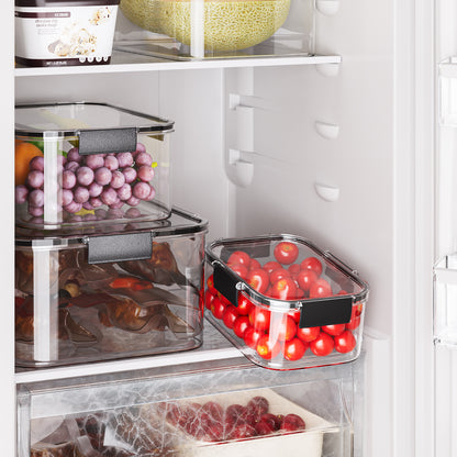 Airtight Food Storage Container