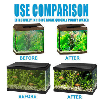 Algae and moss remover
