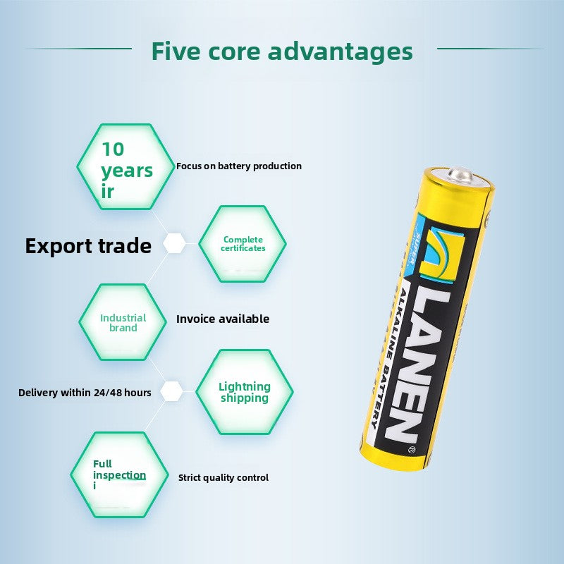 Alkaline Batteries